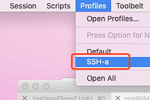 Mac iTerm2配置SSH连接服务器