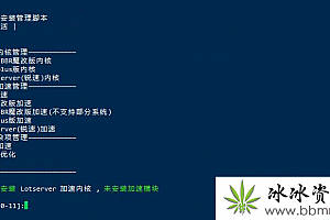 BBR Plus一键安装脚本 BBR/BBR Plus/魔改BBR/锐速(LotServer)四合一